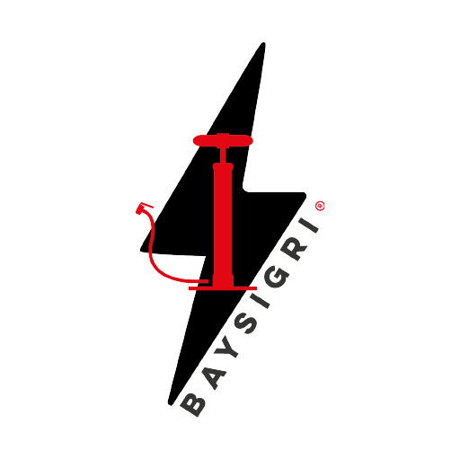 Baysigri logo
