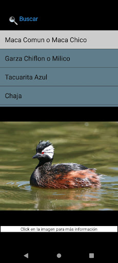 Android application Aves en reserva screenshort