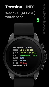 Terminal: Watch face Unknown