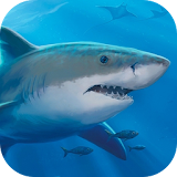 Great Shark 3D Locker Theme icon