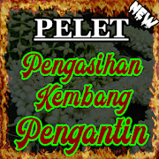 Mantra Pengasihan Kembang Pengantin Segala Pelet