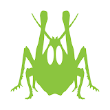Grasshopper Board icon