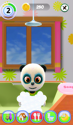 Talking Panda