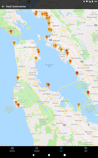 Screenshot of GoBird - Guide to Nearby Birds