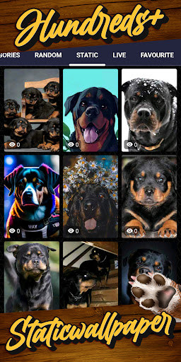 rottweiler wallpaper Screenshot 4 - AppWisp.com