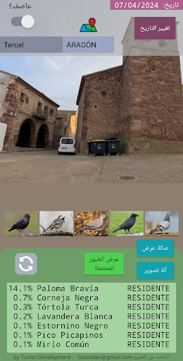 معاينة التطبيق