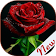 Flowers and Roses Images Gifs icon