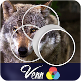Venn Wolves: Circle Jigsaw icon