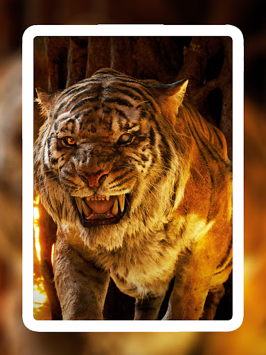 Screenshot of Lion Wallpapers HD - EpicWalls