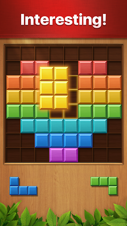 Game screenshot Vita Block for Seniors hack