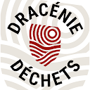 Dracénie Déchets