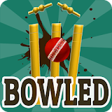 Bowled 3D - Cricket Game icon