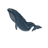 How to Draw a Whale icon