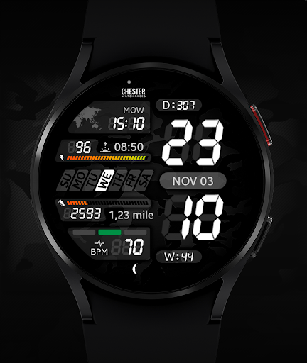 Chester LCD2 watch face Screen 3