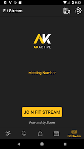 AK Active 4