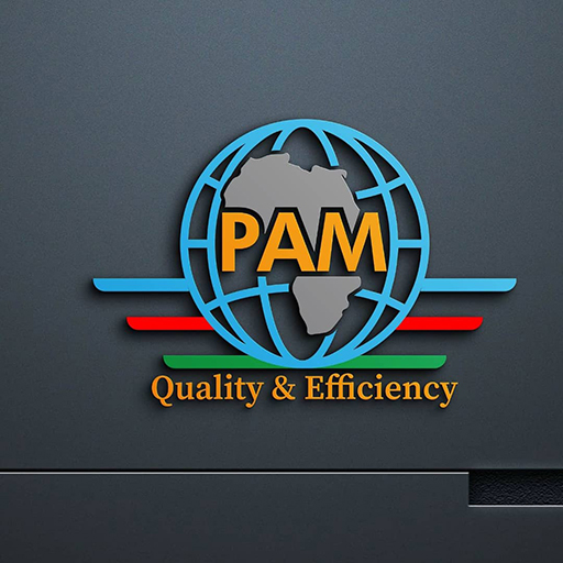 PamOne logo