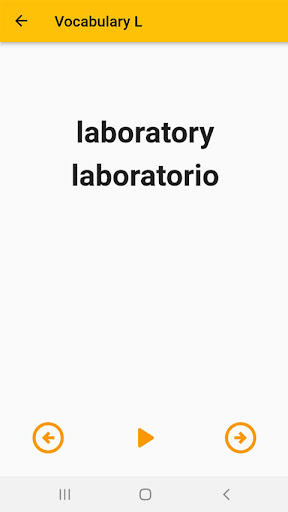 English Spanish Dictionary Screen 2