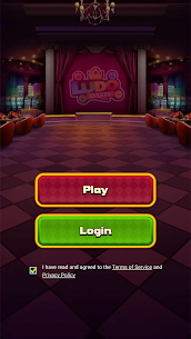 Ludo Oasis Dice Board Game 3