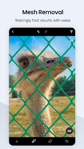Descargar TouchRetouch Mod APK 2025 (Pro desbloqueado) 4