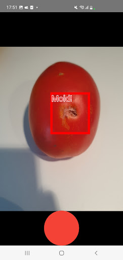 FoodPatrol AI Screen 2