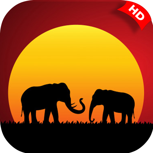 Planet Earth Adventure HD logo