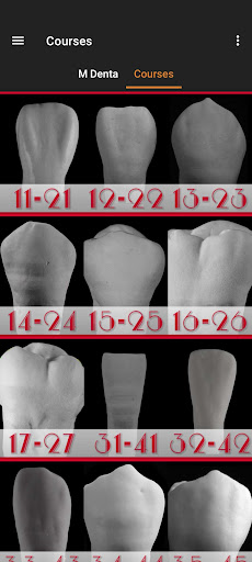M Denta Screen 3