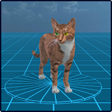 Wild Cats: Avatar Maker 3D icon