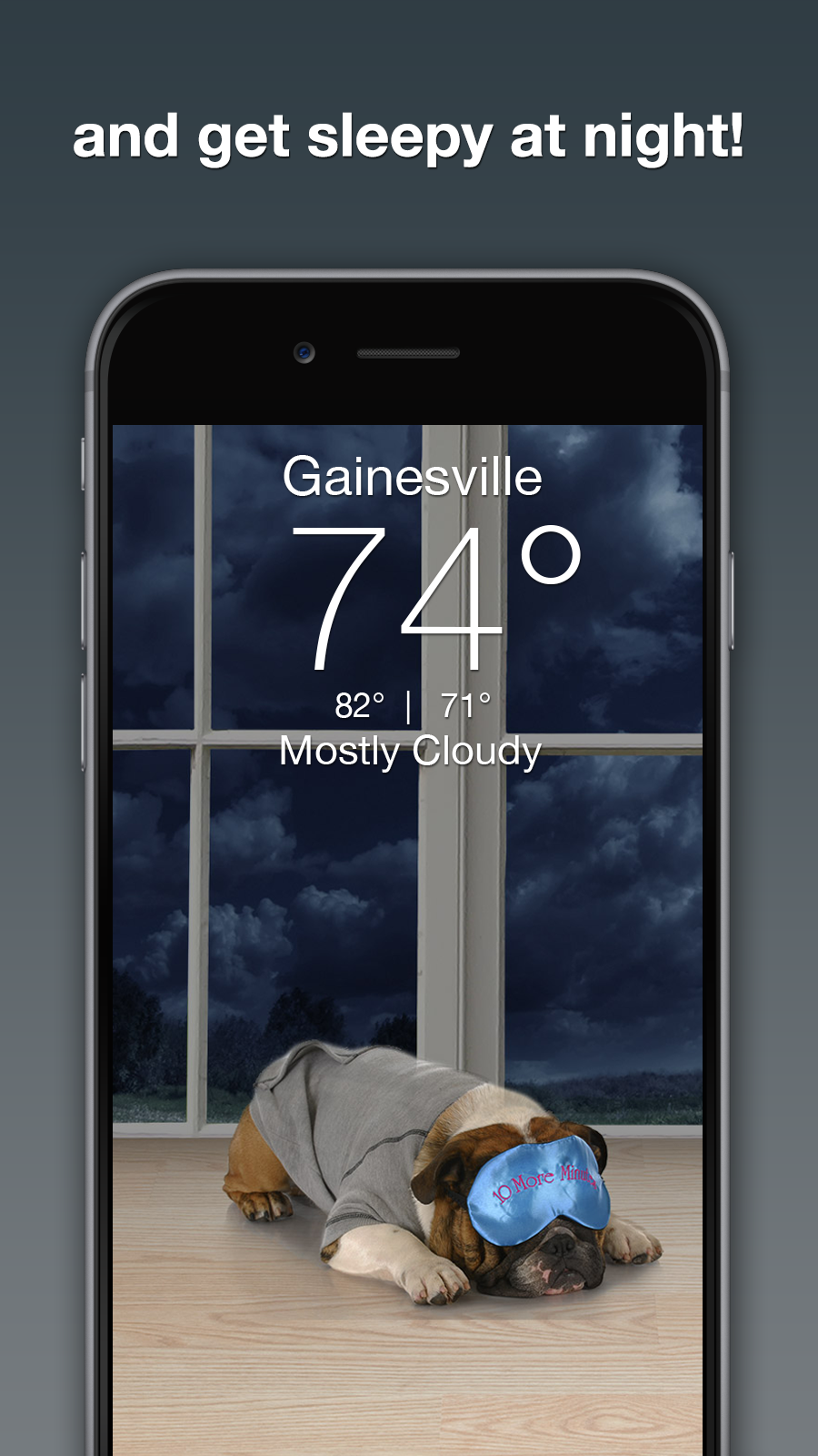 Android application Weather Puppy - App & Widget Weather Forecast screenshort