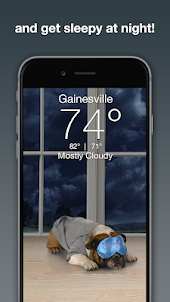 Weather Puppy - App & Widget