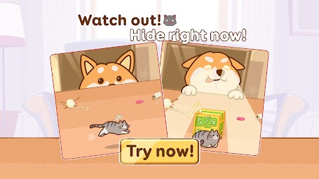 Kitten Hide N’ Seek: Neko Doge