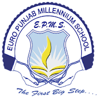 Euro Punjab Millennium School