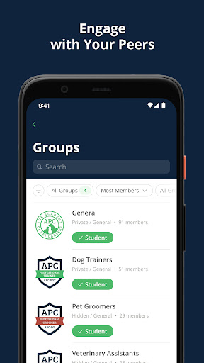 APC Mobile Screen 3