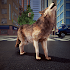 Wild Wolf Life Simulator Game