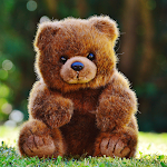 Cover Image of Descargar Cute Teddy Bear Wallpaper  APK