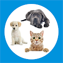 Baixar aplicação pet & dog - Buy and sell Instalar Mais recente APK Downloader