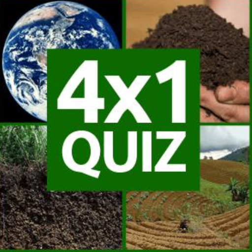 4x1 Quiz