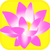 Blossom Flower Mania icon