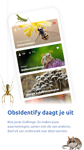 Screenshotafbeelding