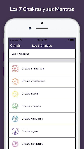 Tus Chakras Screen 3