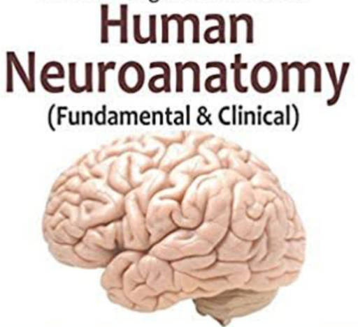 Neuroanatomy Books offline