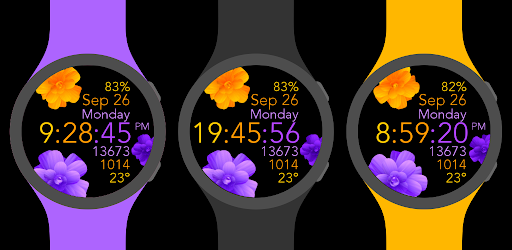 Yellow Purple Flowers