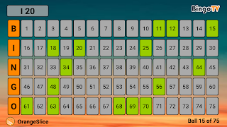 Bingo TV - Screenshot 2