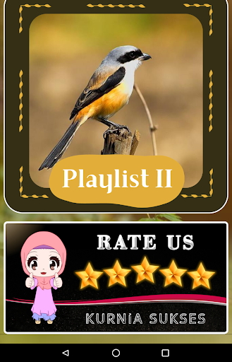 Suara Kicau Burung Cendet