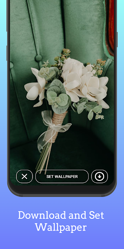 Picture Point  HD Wallpaper