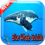 New Guide Blue Whale Suicide Game icon