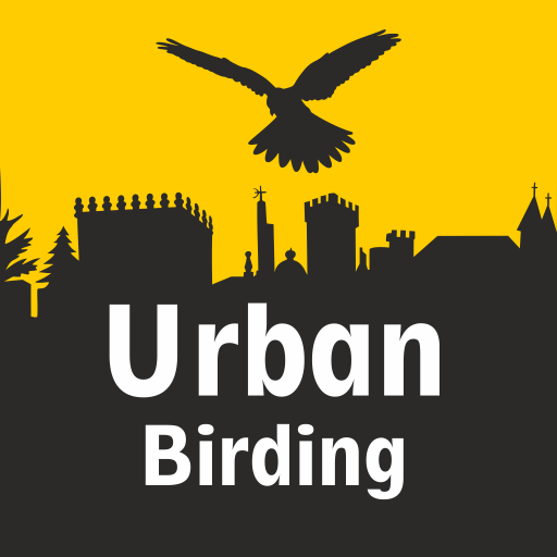 URBAN BIRDING · Turismo ornito 1.0.7 Icon