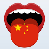 Learn Chinese Phrasebook Pro icon