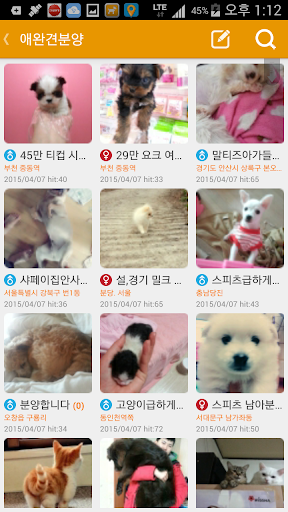 바이펫강아지-고양이포메라니안유기견애견용품교배