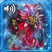 Winter Frozed Flowers Live Wallpaper  Icon