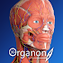 3D Organon Anatomy2022.0.0.8